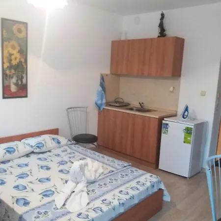 Studio Apartament Carewo